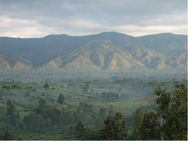 Virunga national park